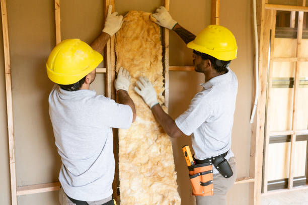 Best Insulation for New Construction  in Crescent City, CA